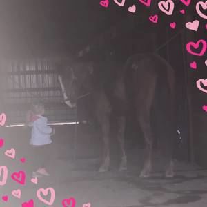 Meet your Posher, Regina